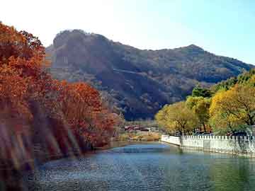 新澳天天开奖资料大全旅游团，互点精灵